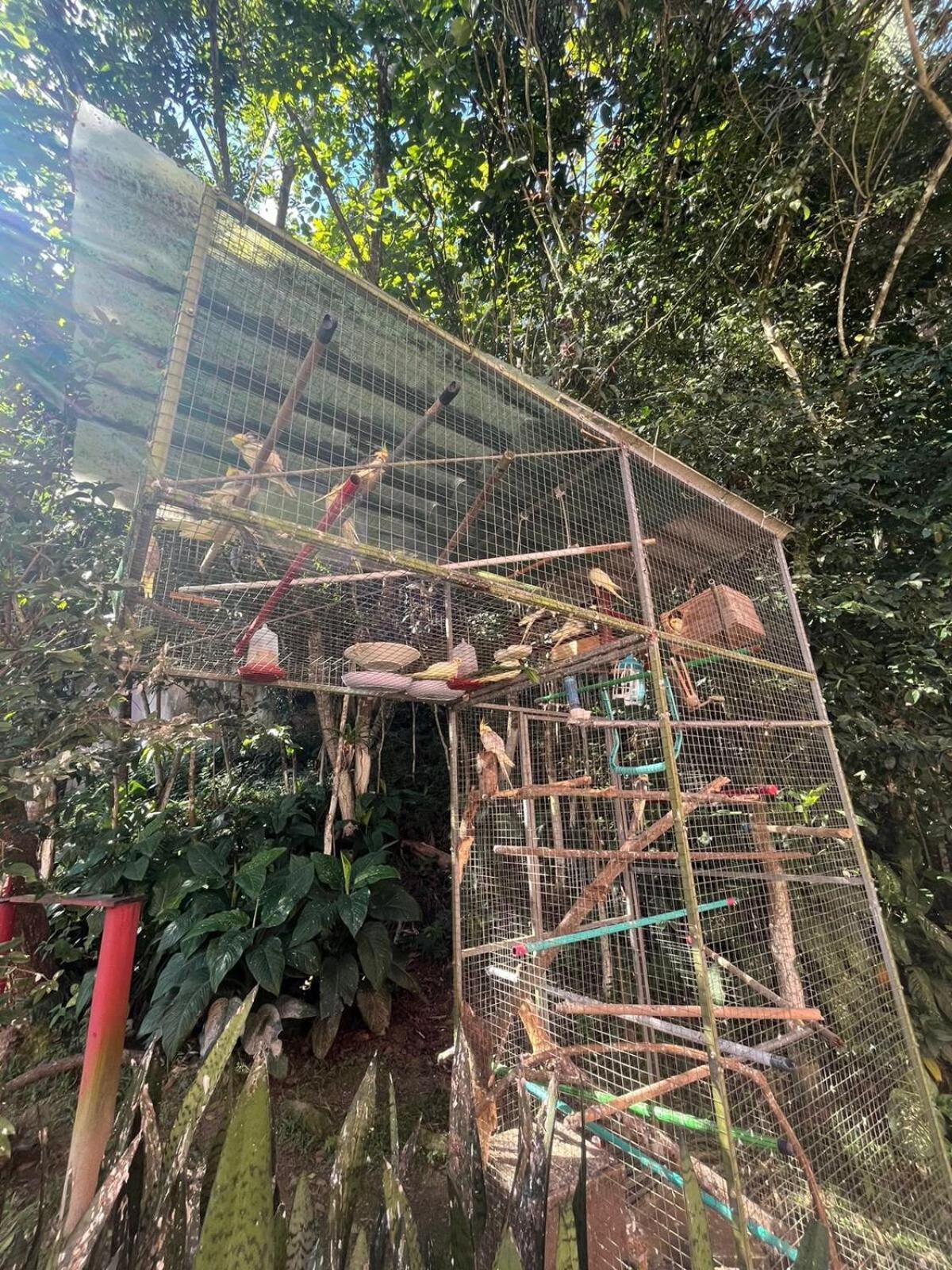 Ape Do Salomao Apartment Balneario Camboriu Luaran gambar